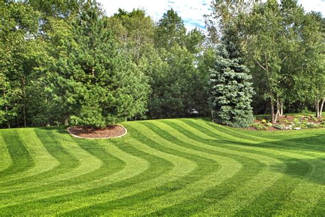 Lawn stripes. Things To Know About Lawn stripes. 